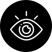 Icon Auge